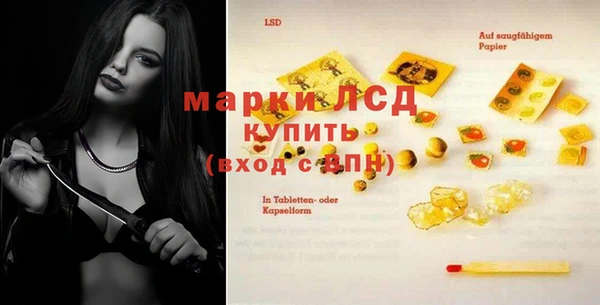 стаф Медногорск