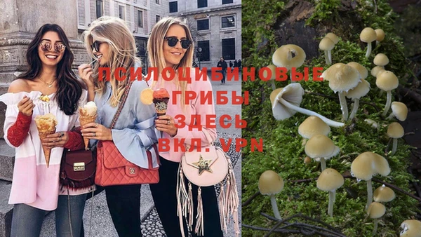 стаф Медногорск