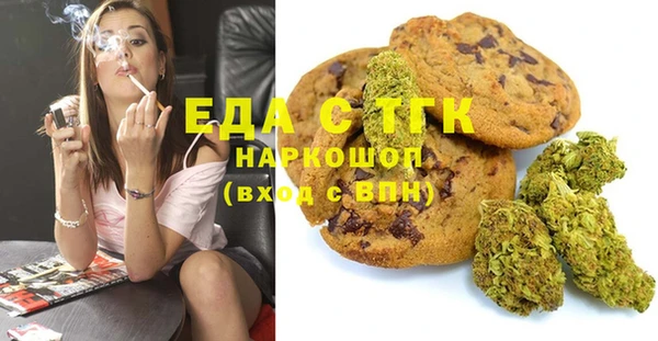 стаф Медногорск
