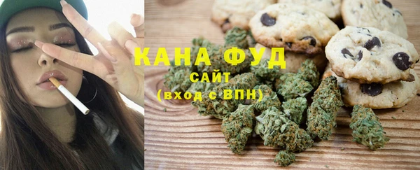 стаф Медногорск
