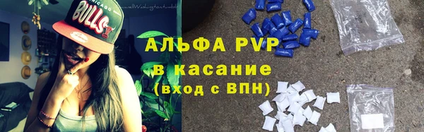 стаф Медногорск