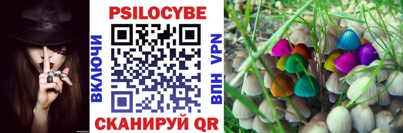 ОМГ ОМГ как войти  Балаково  Галлюциногенные грибы мухоморы 
